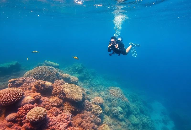 Caño Island Snorkeling