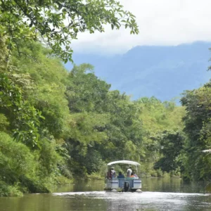 Mangrove Boat Tour – Sierpe River, Costa Rica